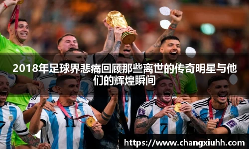 2018年足球界悲痛回顾那些离世的传奇明星与他们的辉煌瞬间