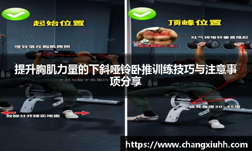 提升胸肌力量的下斜哑铃卧推训练技巧与注意事项分享